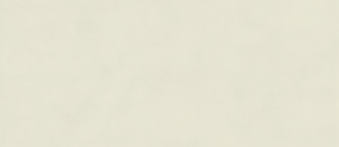 Boost Color Salix 120x278 - 6mm  